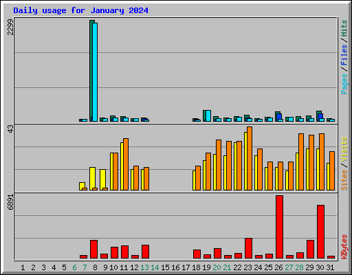 Daily usage for January 2024