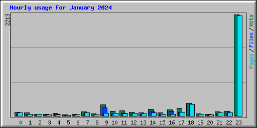 Hourly usage for January 2024