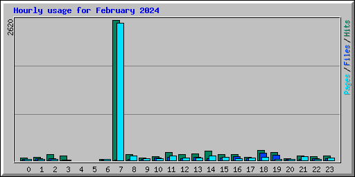 Hourly usage for February 2024